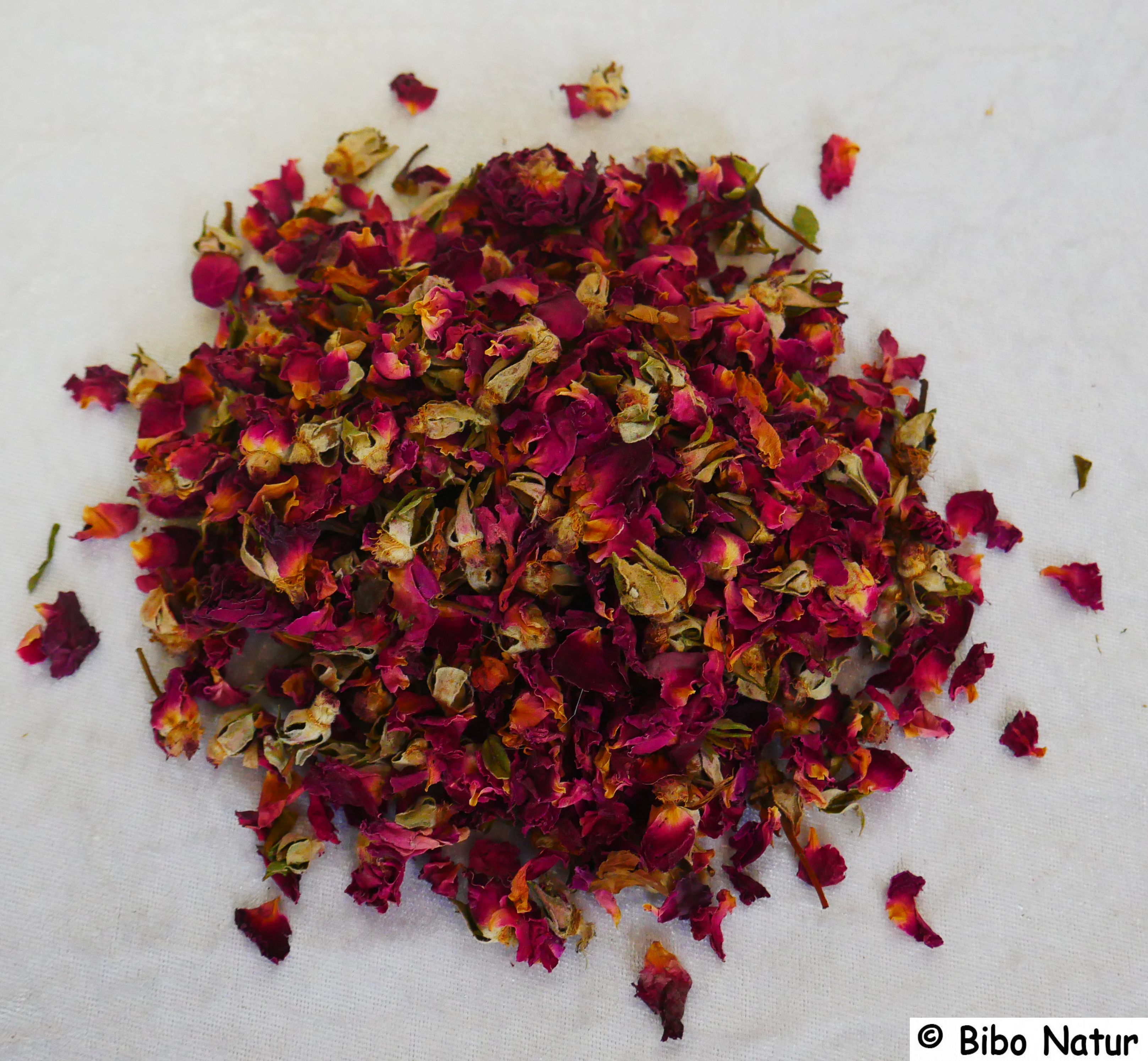 Rosenblütenblätter mit Kelch