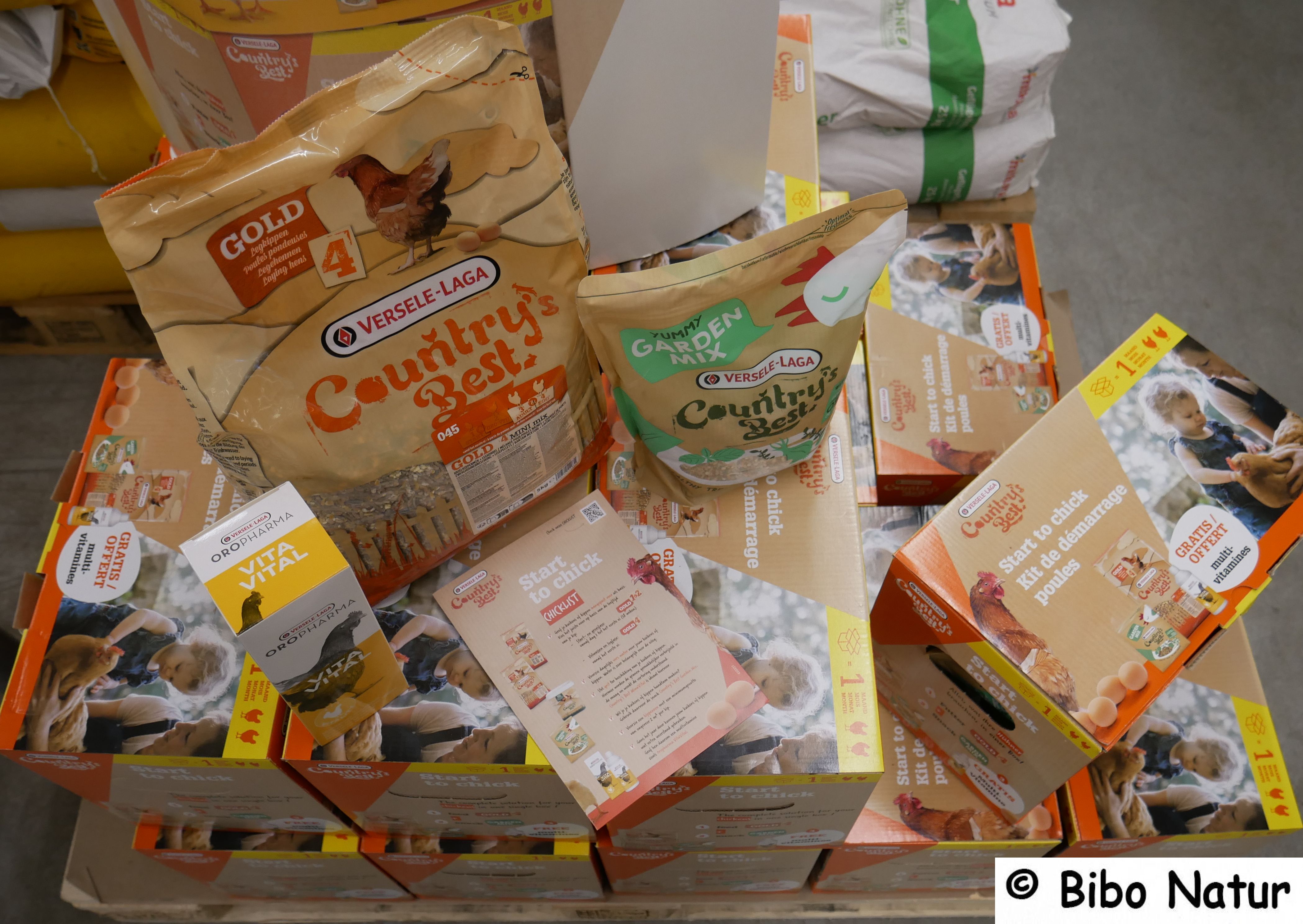 Start to Chick - Starterpaket für Hühner