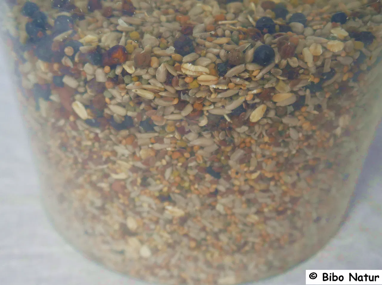 Wintertraum Frucht-Fit