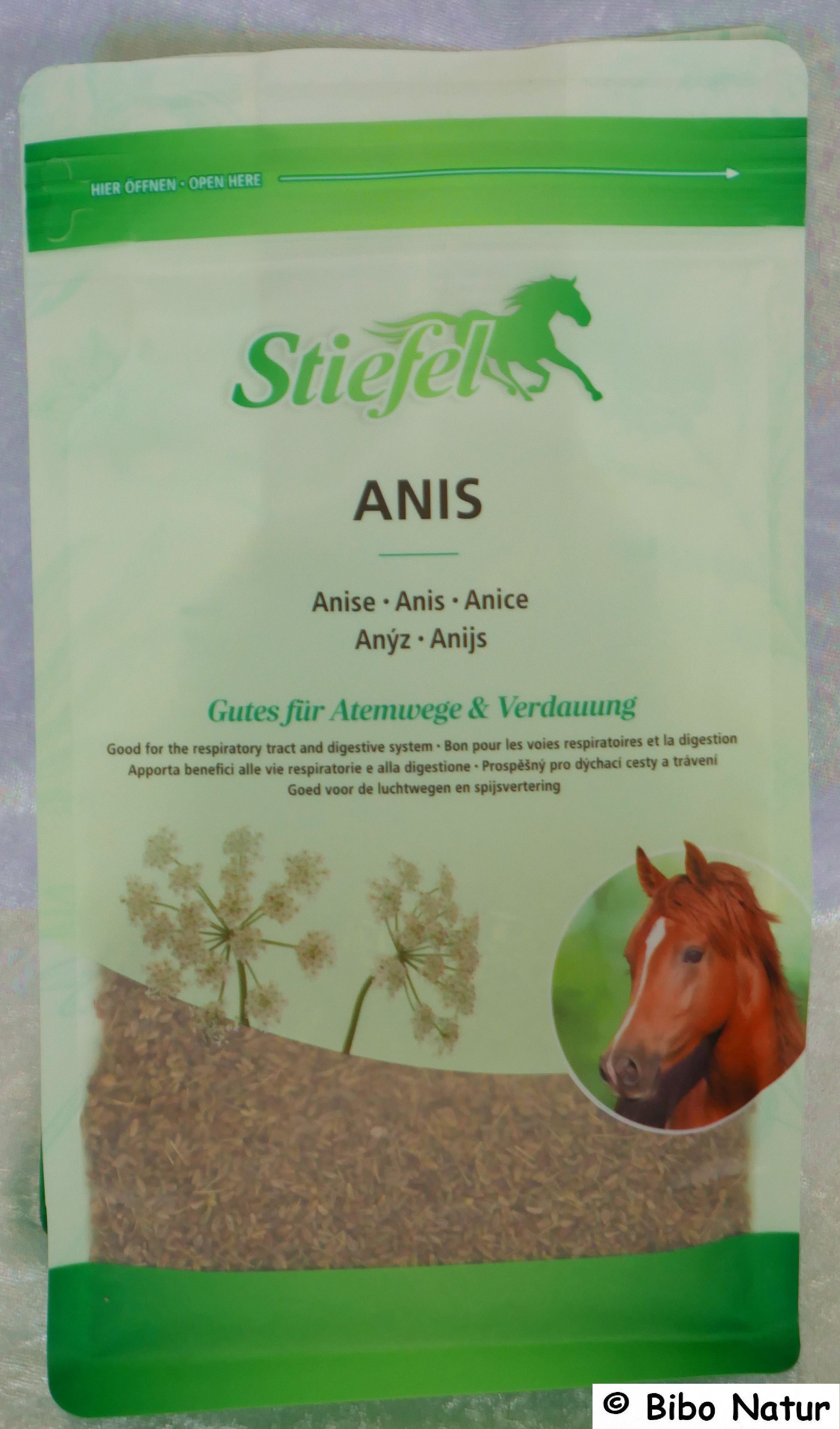Stiefel Anis Samen, ganz